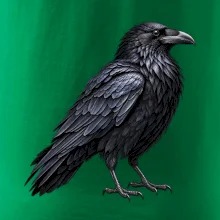 Zvířata Jizerských hor- Krkavec velký