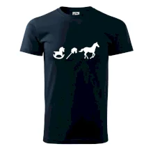 Evoluce koně Evoluce koně