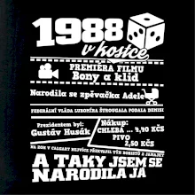 1988 v kostce