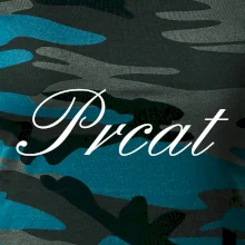 Prcat (souložit vulgárně)