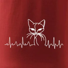 EKG křivka kočka