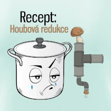 Recept houbová redukce
