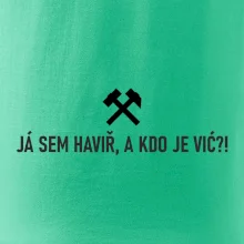 JÁ SEM HAVIŘ, A KDO JE VIĆ?!﻿