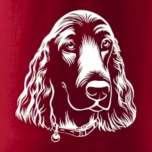 Kokršpaněl - hlava kreslená