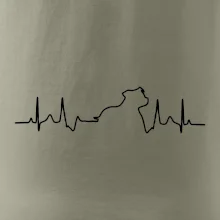 Stafordšírsky bulteriér EKG