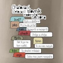 Chatovací slovník moderního seniora (Běžící češtinář)