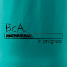 In progress  titul BcA. bakalář / bakalářka umění