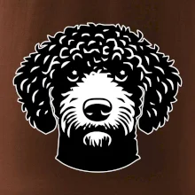 Lagotto romagnolo hlava na prsu