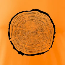 Letokruhy 65 bez věku