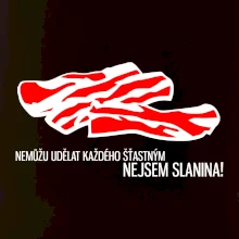 Nejsem slanina