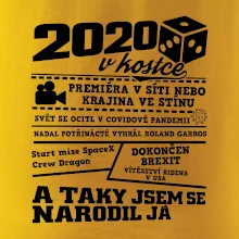2020 v kostce