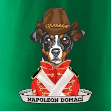 Napoleon domácí pes kříženec
