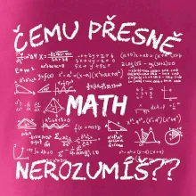 Čemu přesně nerozumíš? Matematika Čemu přesně nerozumíš? Matematika