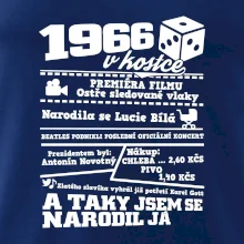 1966 v kostce