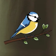 Sýkorka modřinka na větvi