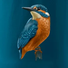 Lednáček kreslený