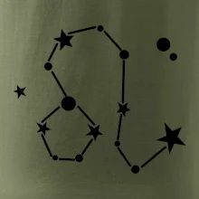 Souhvězdí - Leo - Lev