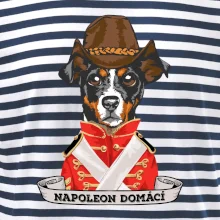 Napoleon domácí pes kříženec