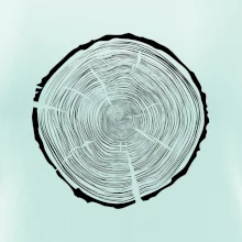 Letokruhy 95 bez věku