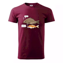 Hezké Vánoce Kapr a Koi kapr (Hana-creative)