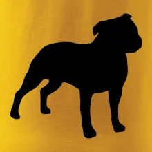 Americký stafordširský teriér  Na prsu