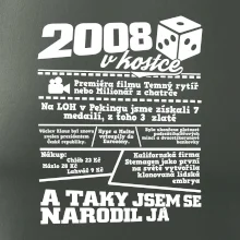 2008 v kostce