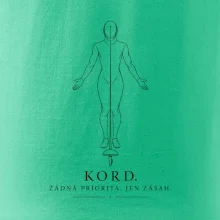 Kord. žádná priorita. jen zásah.