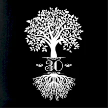 Narozeninový strom 30