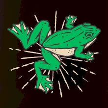 Žába zelená kreslená