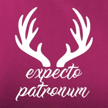 Harry - Expecto patronum
