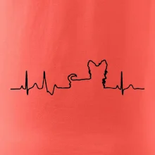 Jorkšírský teriér EKG Jorkšírský teriér EKG