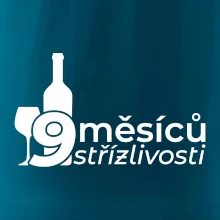 9 měsíců střízlivosti