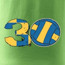 Volejbal kulaté narozeniny 30
