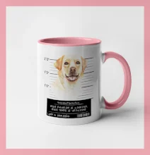 Lump a darebák labrador