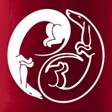 Jezevčíci - Jin jang