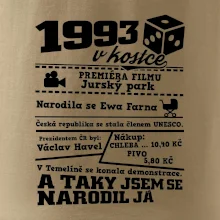 1993 v kostce