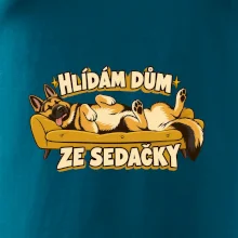 Hlídám dům ze sedačky - vlčák