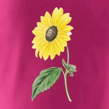 Slunečnice otočená