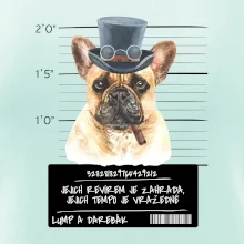 Lump a darebák francouzský buldoček