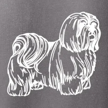 Shih-tzu - chlupatý
