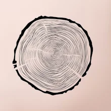 Letokruhy 75 bez věku