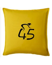 Cyklista slaví pětačtyřicítku (45)