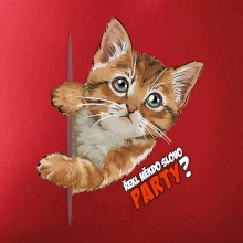 Řekl někdo slovo party