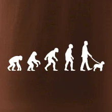 Lagotto romagnolo Evoluce