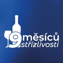 9 měsíců střízlivosti