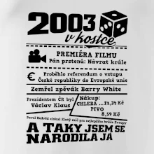 2003 v kostce