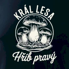 Král lesa hřib pravý