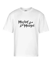 Harry - Mischief Managed