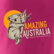 Amazing Australia koala