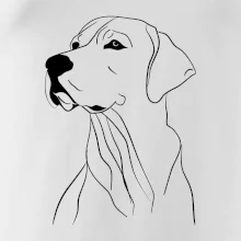 Labrador černá kresba Labrador černá kresba